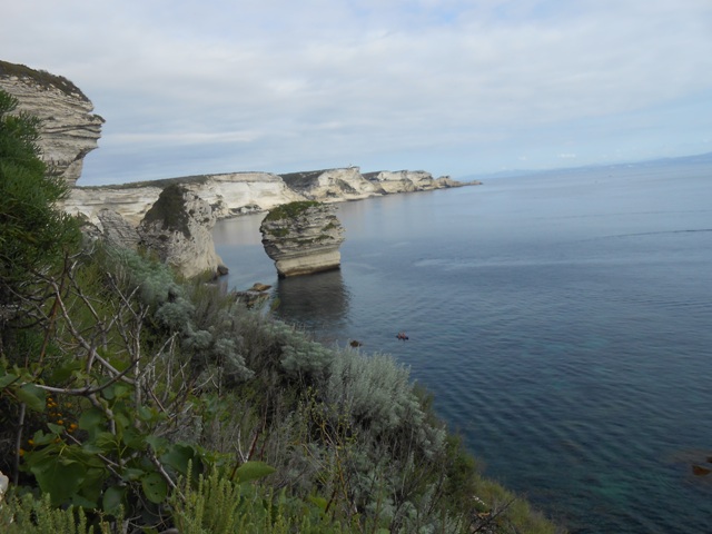 DSCN3173